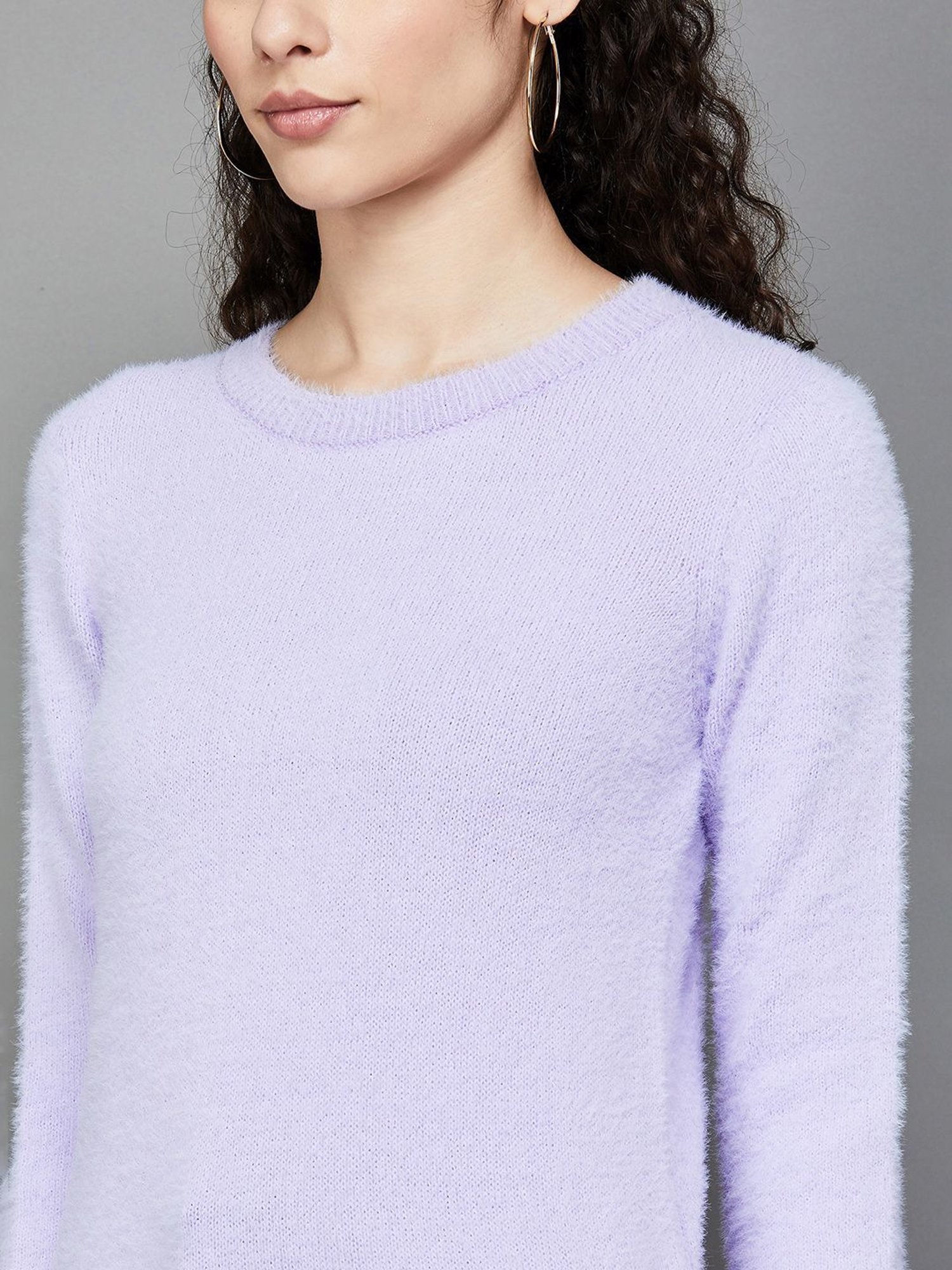 Ginger by Lifestyle Purple Regular Fit Sweater
