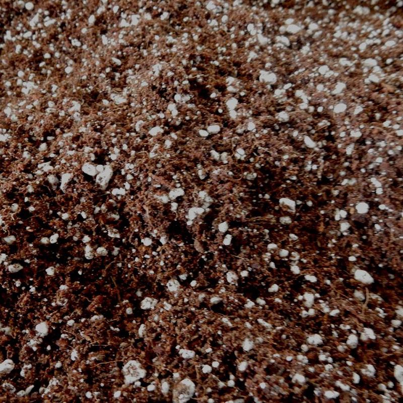 Roots Organics ROS Soilless Hydroponic Gardening Coco Fiber Media Mix Premium Growing Mix for Plants, 1.5 cu ft