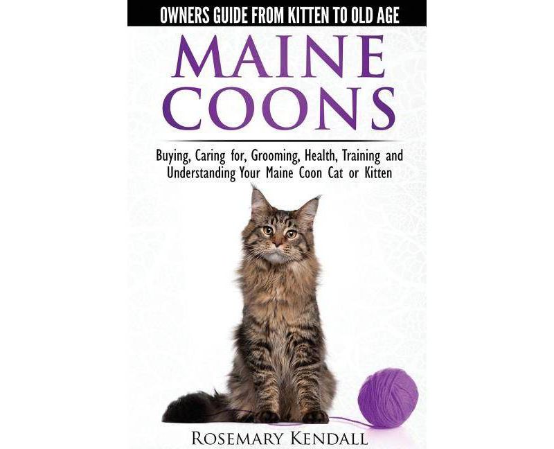 Life with Forty Dogs - by  Joseph Robertia (Paperback)