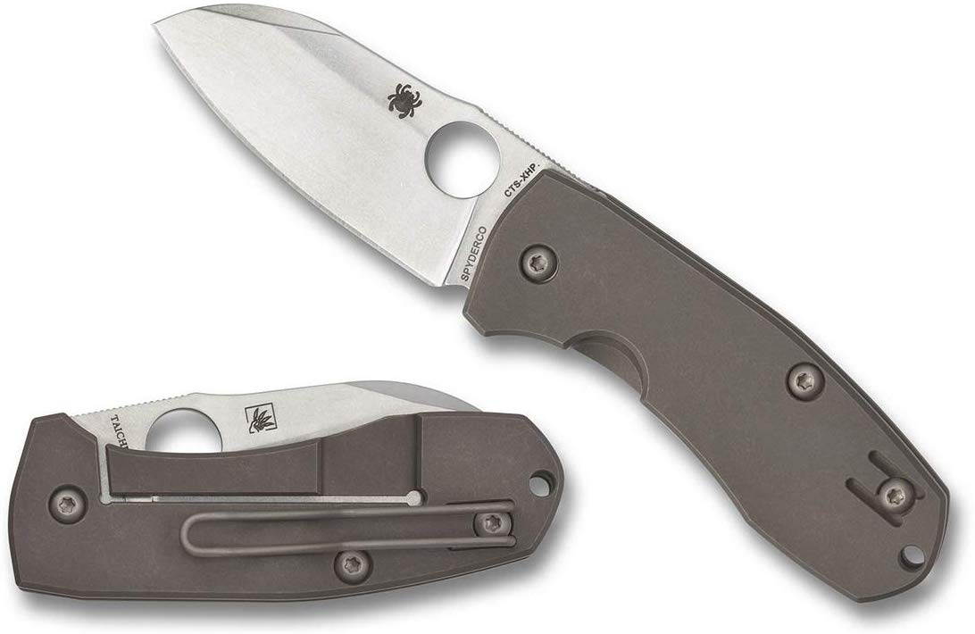 Spyderco Techno 2 Folder 2.55 in Plain Titanium Handle