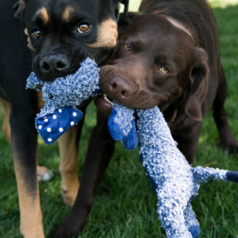 KONG Shakers Elephant Dog Toy - S