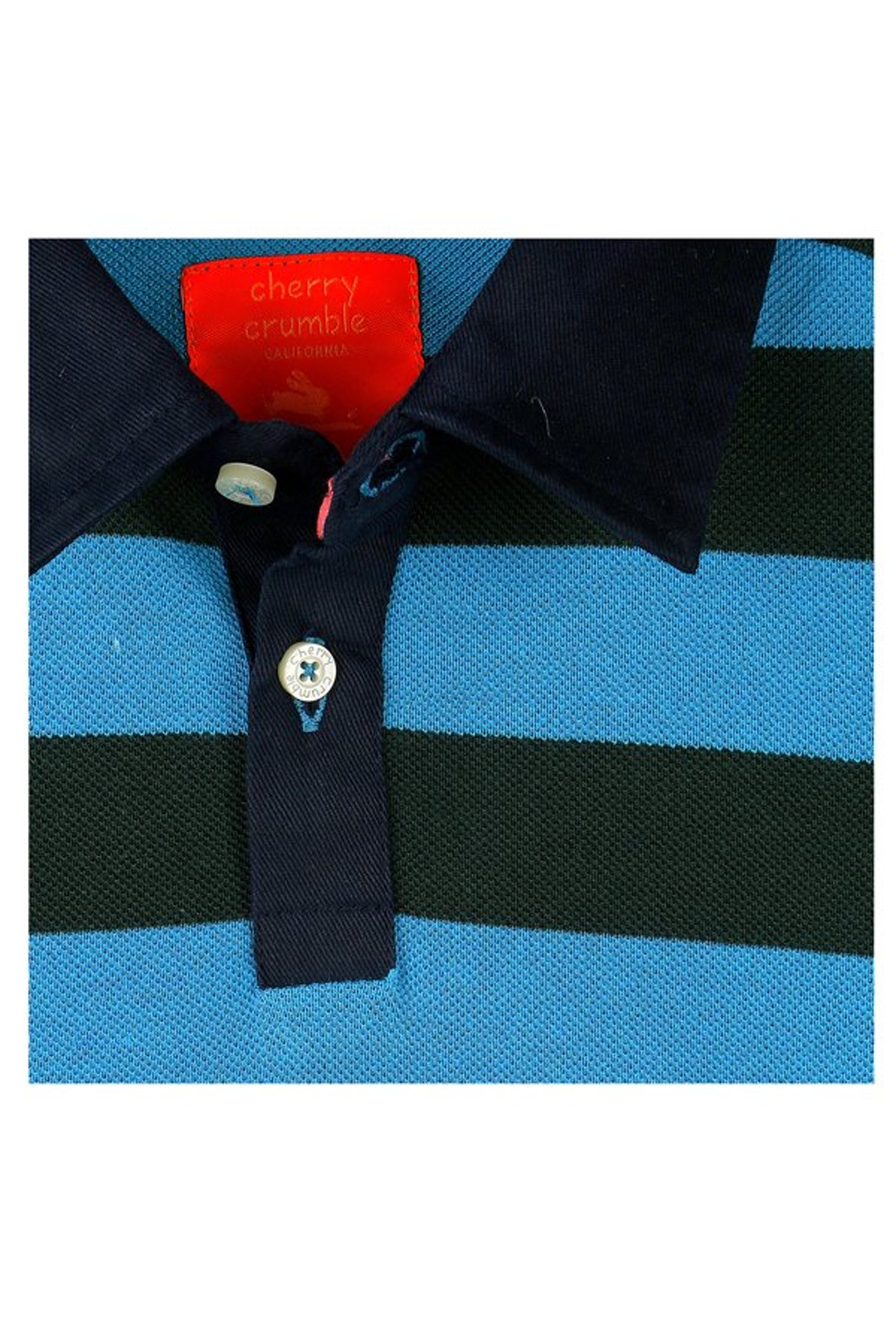 Cherry Crumble By Nitt Hyman Boys Blue & Green Polo T-Shirt