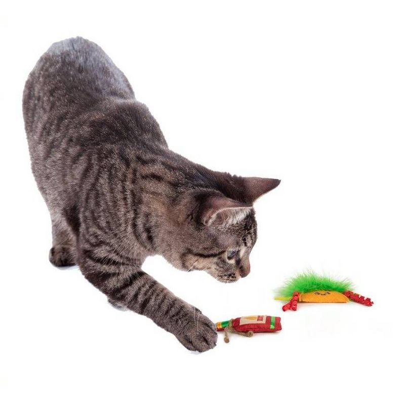 SmartyKat Happy Hotstuff Catnip Cat Toy - Set of 2