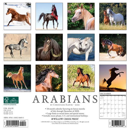 2021 Arabians Wall