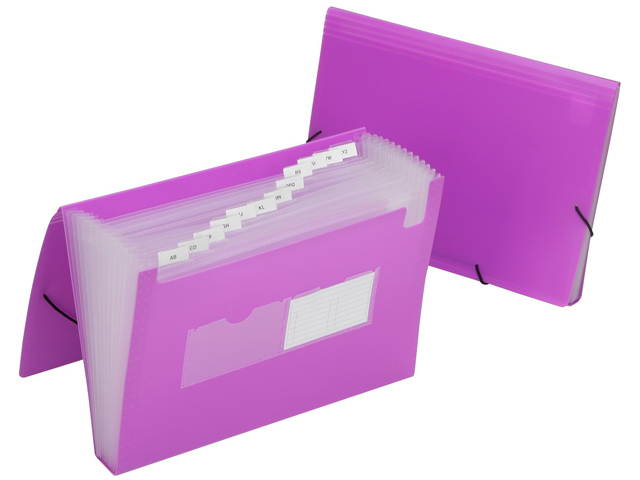 AbilityOne 6597147 Poly Expanding File Folder