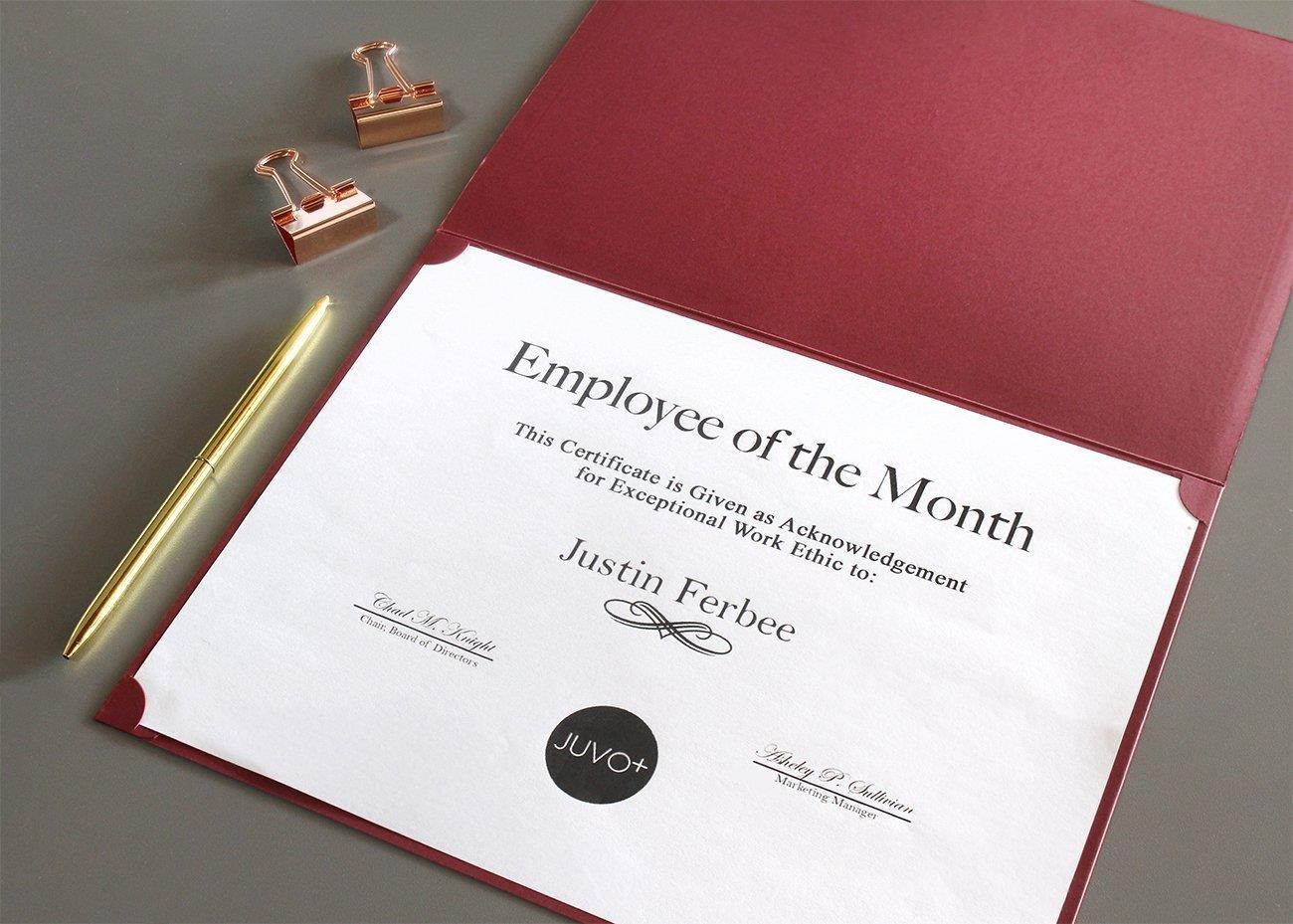 12-Pack Certificate Holder - Diploma Cover, Document Cover for Letter-Sized Award Certificates, Red, Gold Foil, 11.2 x 8.8 inches