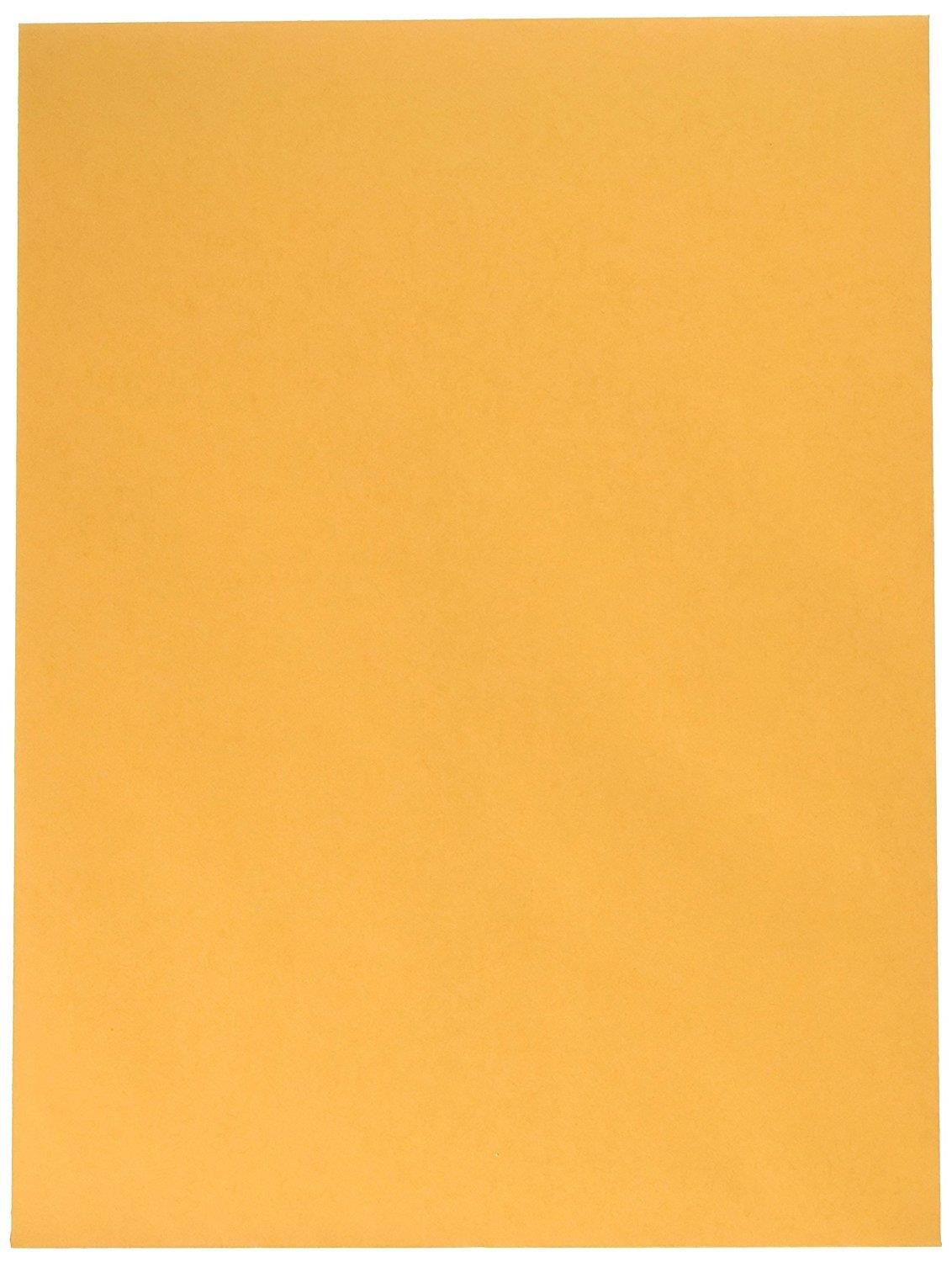 100 9 X 12 SELF Seal Golden Brown Kraft Catalog Envelopes- Designed for Secure Mailing- Oversize Strong Peel and Seal Flap with 28 LB Kraft Paper- 100 Envelopes