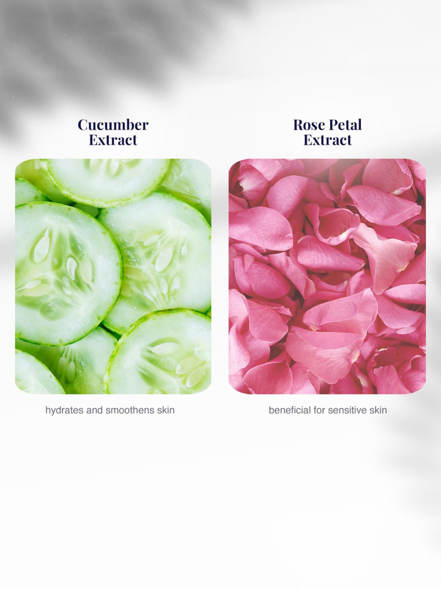 VLCC Insta Glow Herbal Bleach - Pack of 6