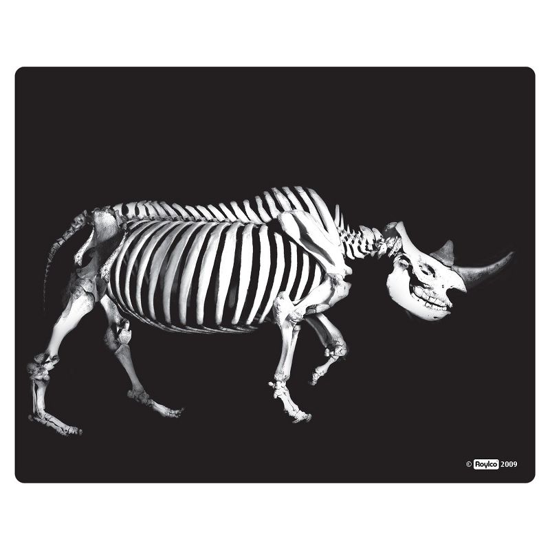 Roylco What's Inside Animals?