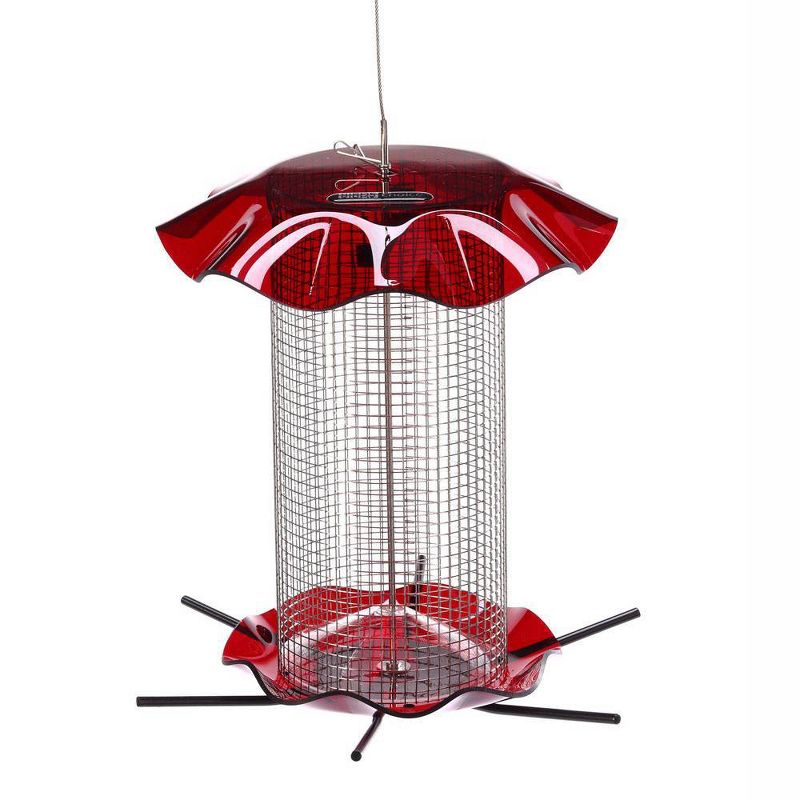 Birds Choice 3qt Forever Black Oil Sunflower Bird Feeder - Red