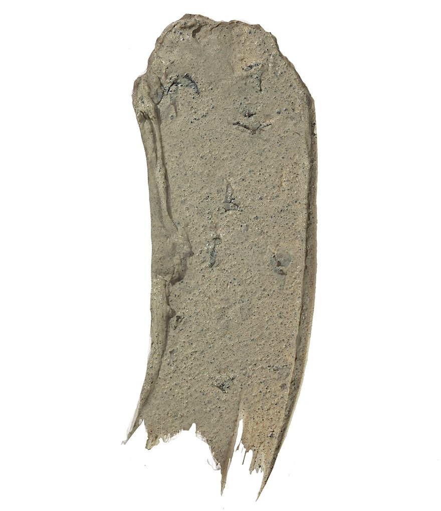 Shiseido Cleansing Massage Brush