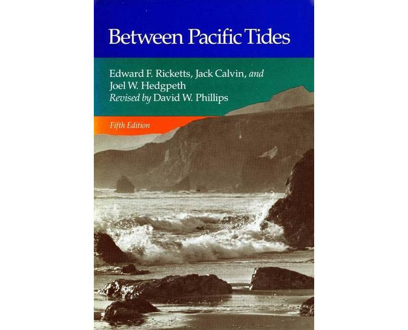 Between Pacific Tides - 5th Edition,Annotated by  Edward F Ricketts & Jack Calvin (Paperback)
