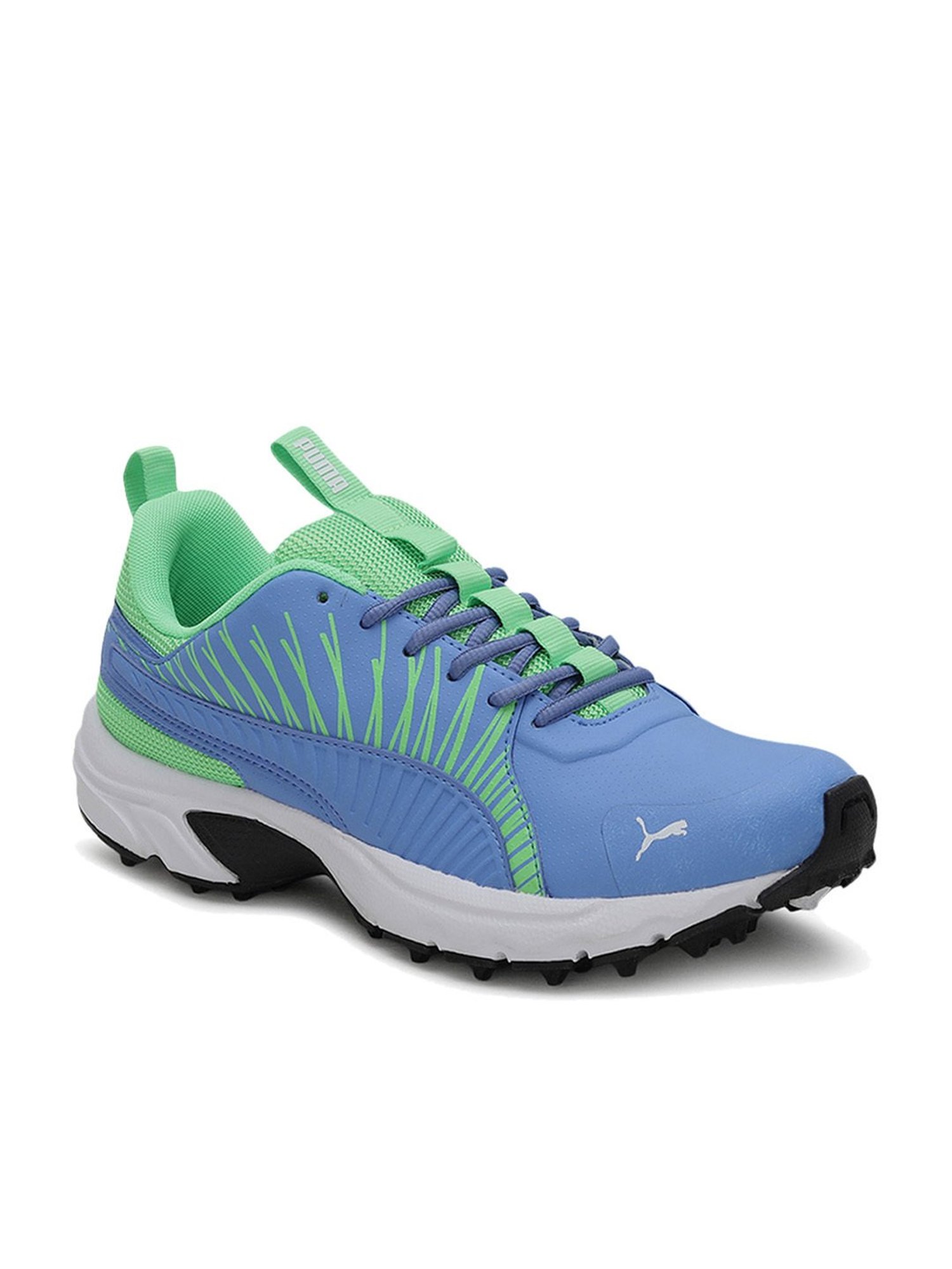 Puma Men's Cricket Square Blue Cricket Shoes