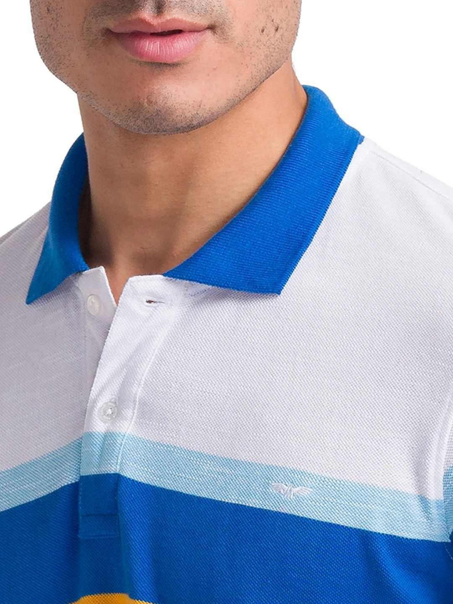 Park Avenue Blue Slim Fit Striped Polo T-Shirt