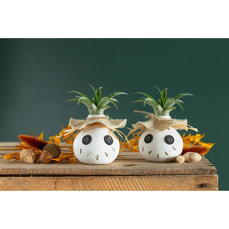 LiveTrends Button Eye Joe