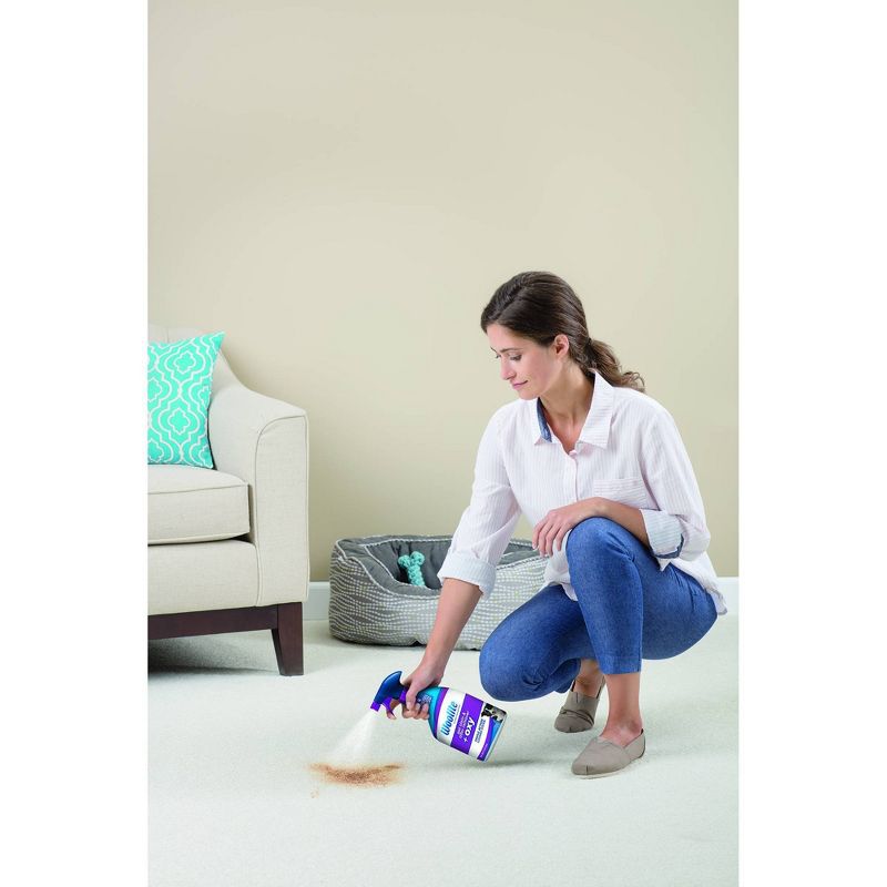 Woolite Carpet Pet Stain & Odor + Oxy