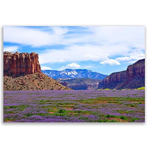 AMERICA THE BEAUTIFUL postcard set of 20. Post card variety pack depicting United States travel sites and American theme postcards. Made in USA.