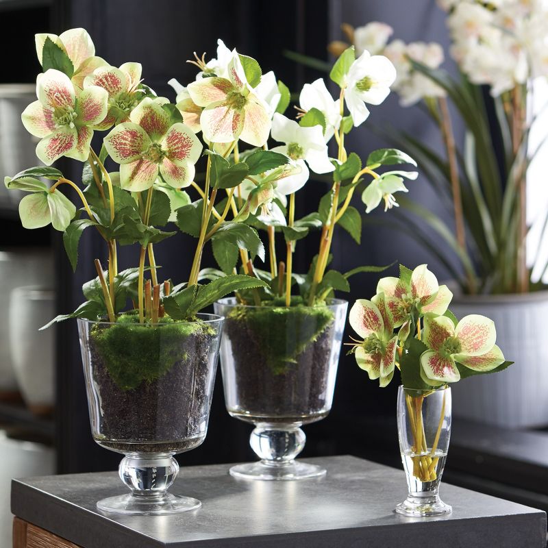 Plum & Post Hellebores Arrangement In Urn 16"