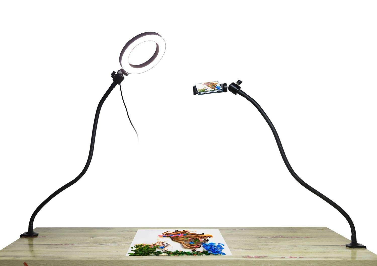 Webcam Streaming Light, Webcam Stand with 6'' Ring Light, USB Webcam Light Mount Kit for Logitech Webcam C920s C920 C930e C922x C930 C922 C925e C615 Brio - Dual 25 inch Arm Stand