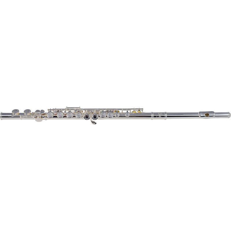 Allora AFL-250 Student Series Flute Offset G C-Foot