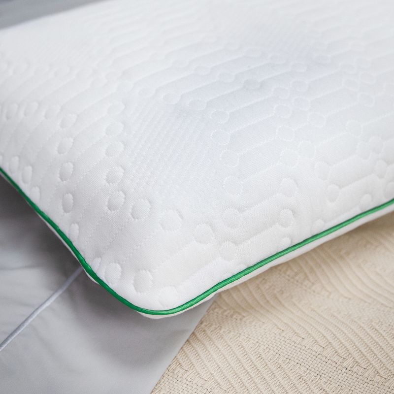 BioPEDIC Fresh and Clean Classic Comfort Memory Foam Pillow with Antimicrobial Ultra-Fresh Treated Fabric