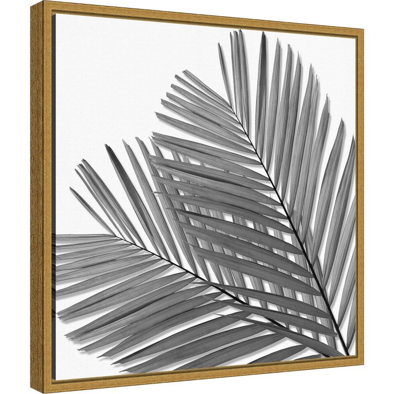 16" x 16" Palm I by Mia Jensen Framed Wall Canvas Black/White - Amanti Art