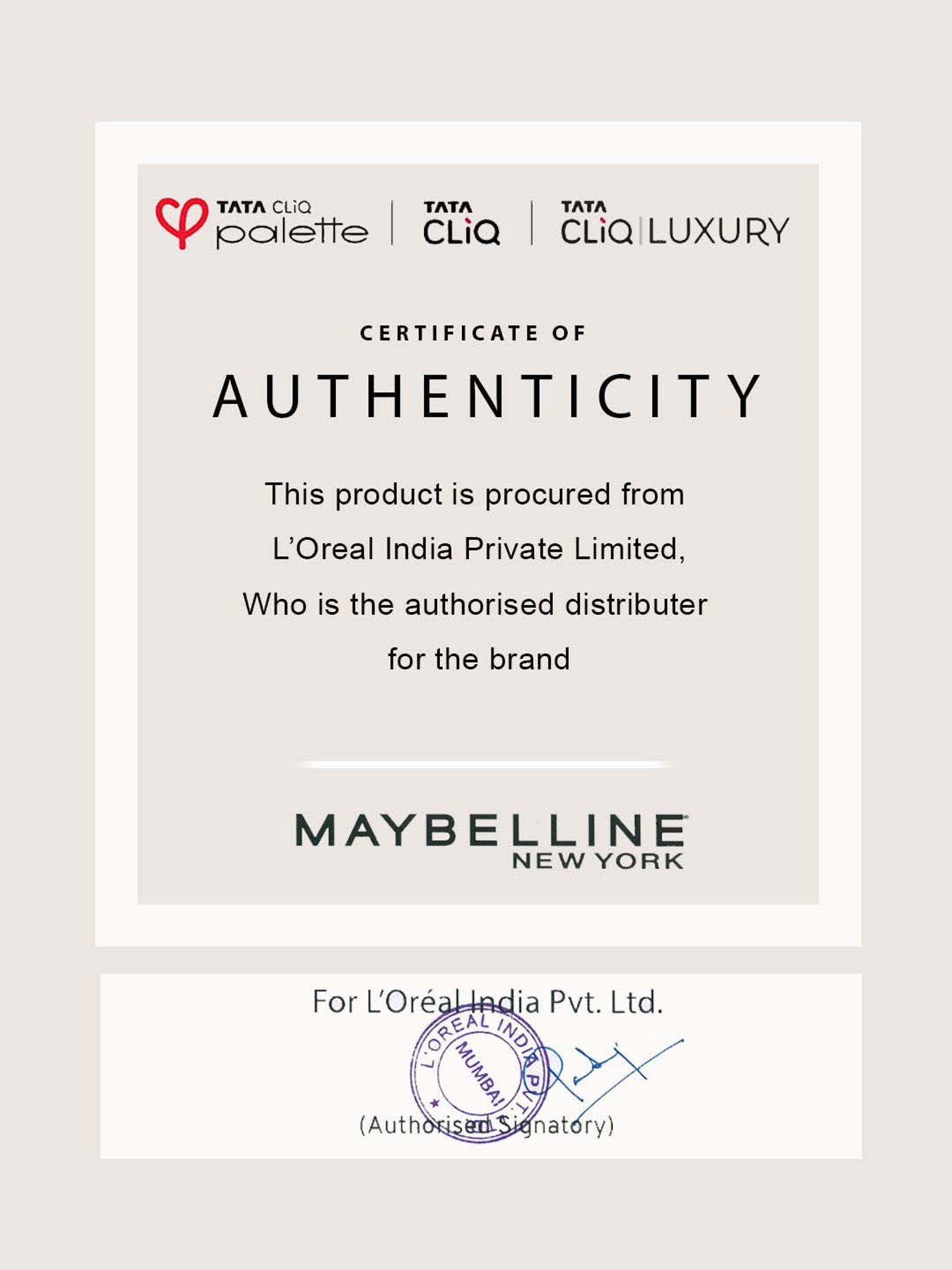 Insight Cosmetics Combo Of Primer Fixer Compact Powder & Concealer Foundation - 300 gm