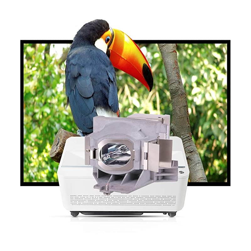 HT2050 Projector Lamp Bulb for Benq HT2050HT2150STHT3050W1110W1210STW2000 5JJEE05001 Lamp Bulb Replacementwith Housing