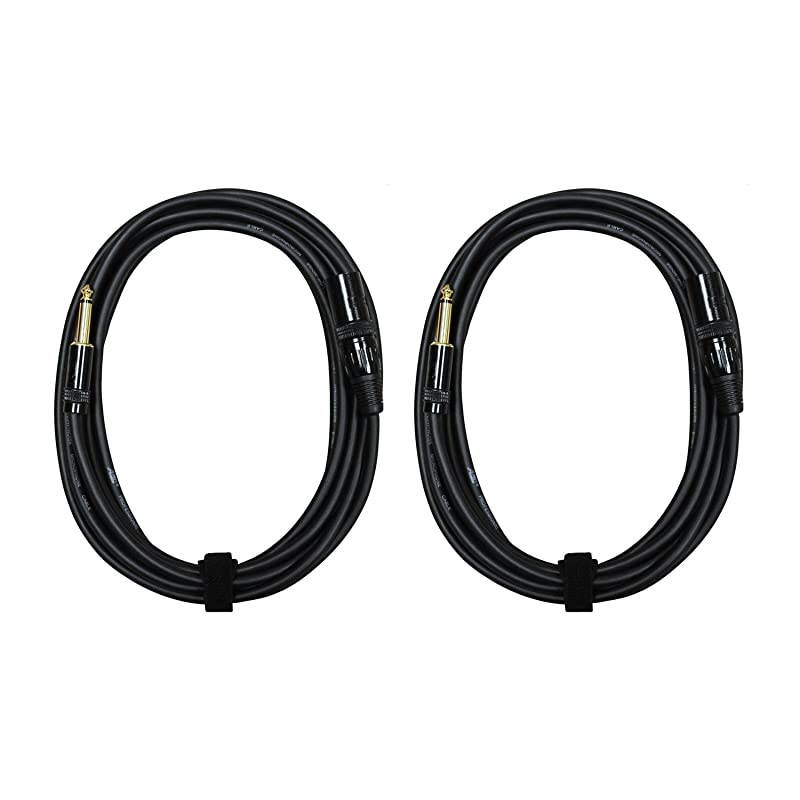 2000s E05112P2 14 Inch TS to XLR Male 12 Feet 2 Pack Cable 12 Feet