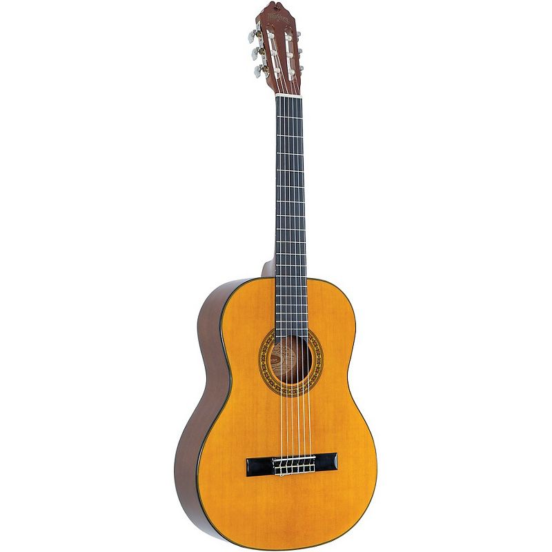 Washburn C40 Classical Guitar