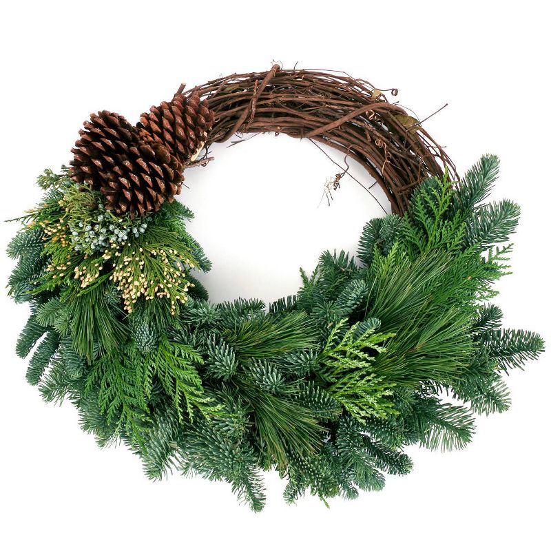 Live Fresh Cut Pacific Northwest Grape Vine and Greens 20" Wreath - Van Zyverden