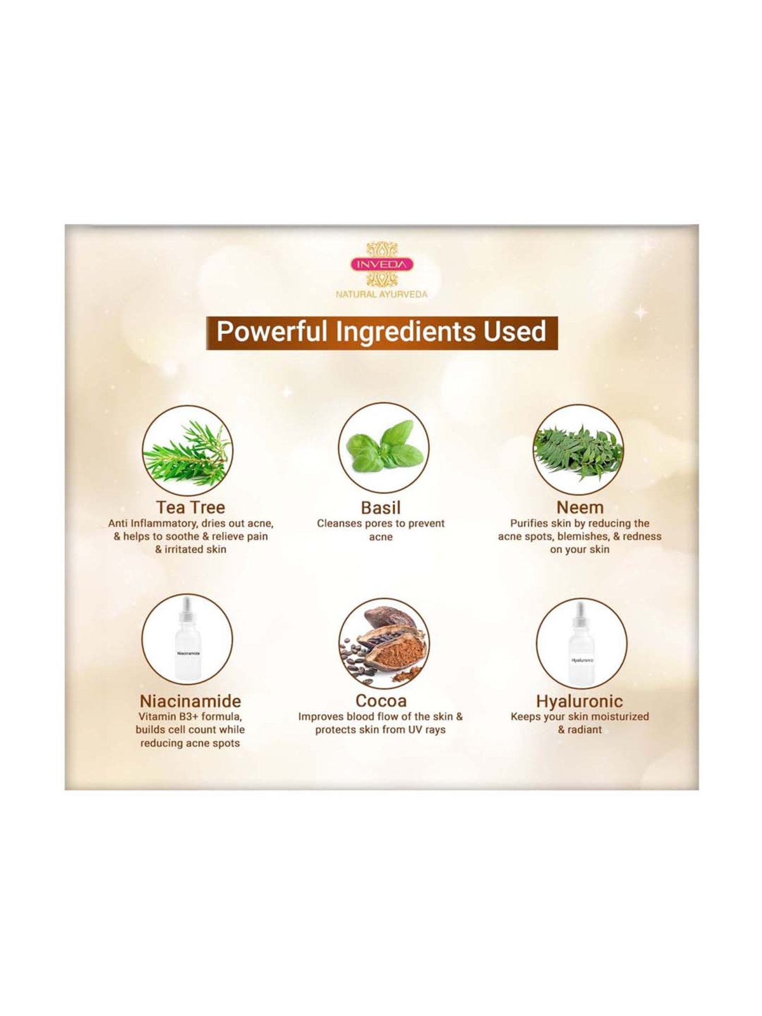 Biotique Wheatgerm Anti-Ageing Night Cream - 50 gm