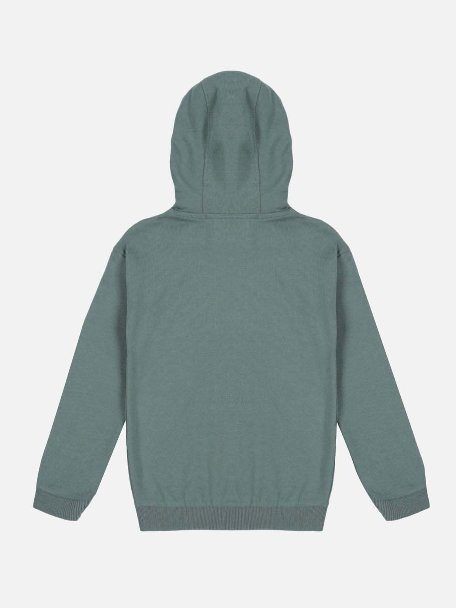 Plum Tree Boys Summer Green Cotton Printed Full Sleeves NA Sweatshirt