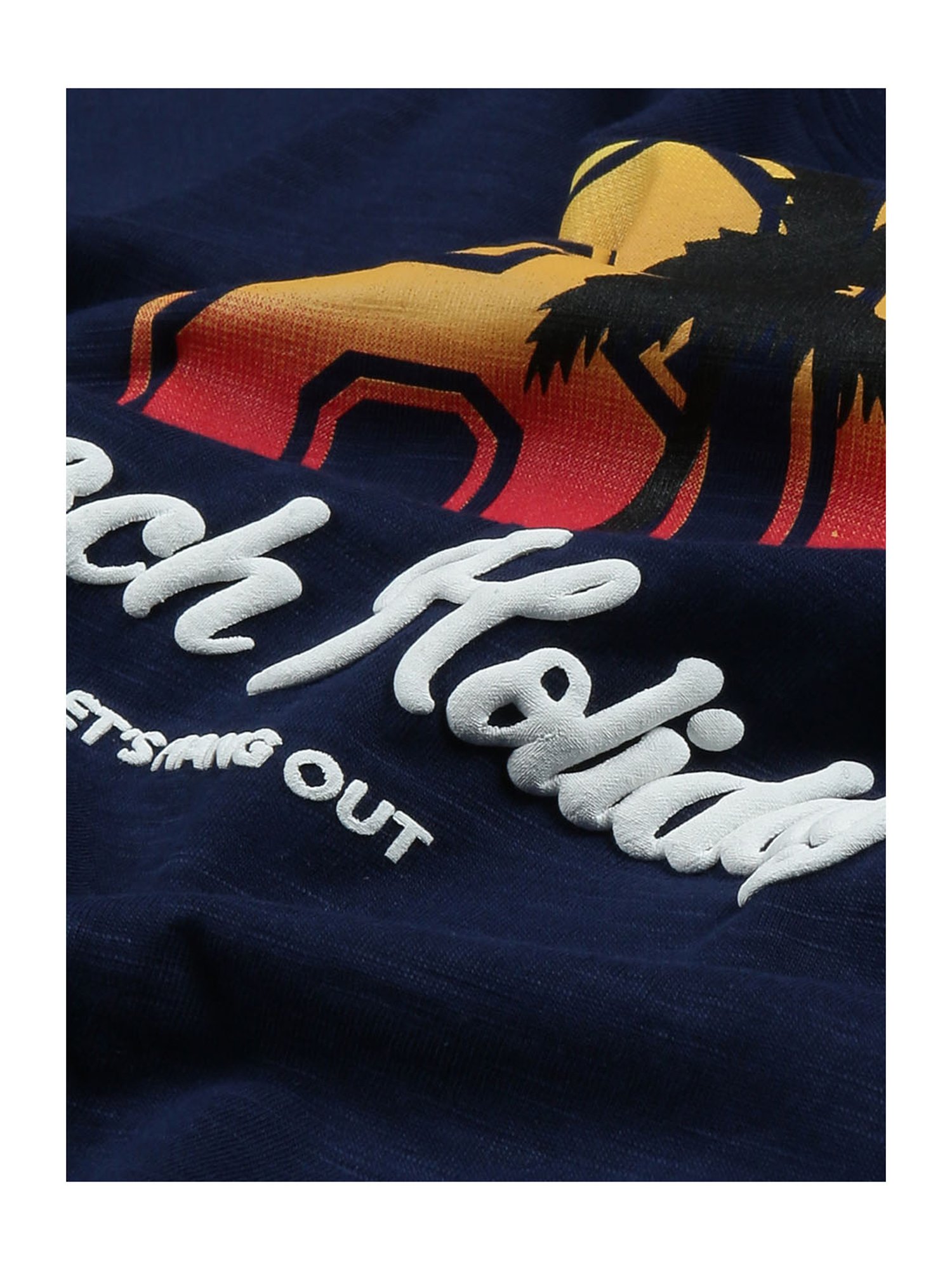 Plum Tree Kids Navy & Grey Printed T-Shirt (Pack Of 2)