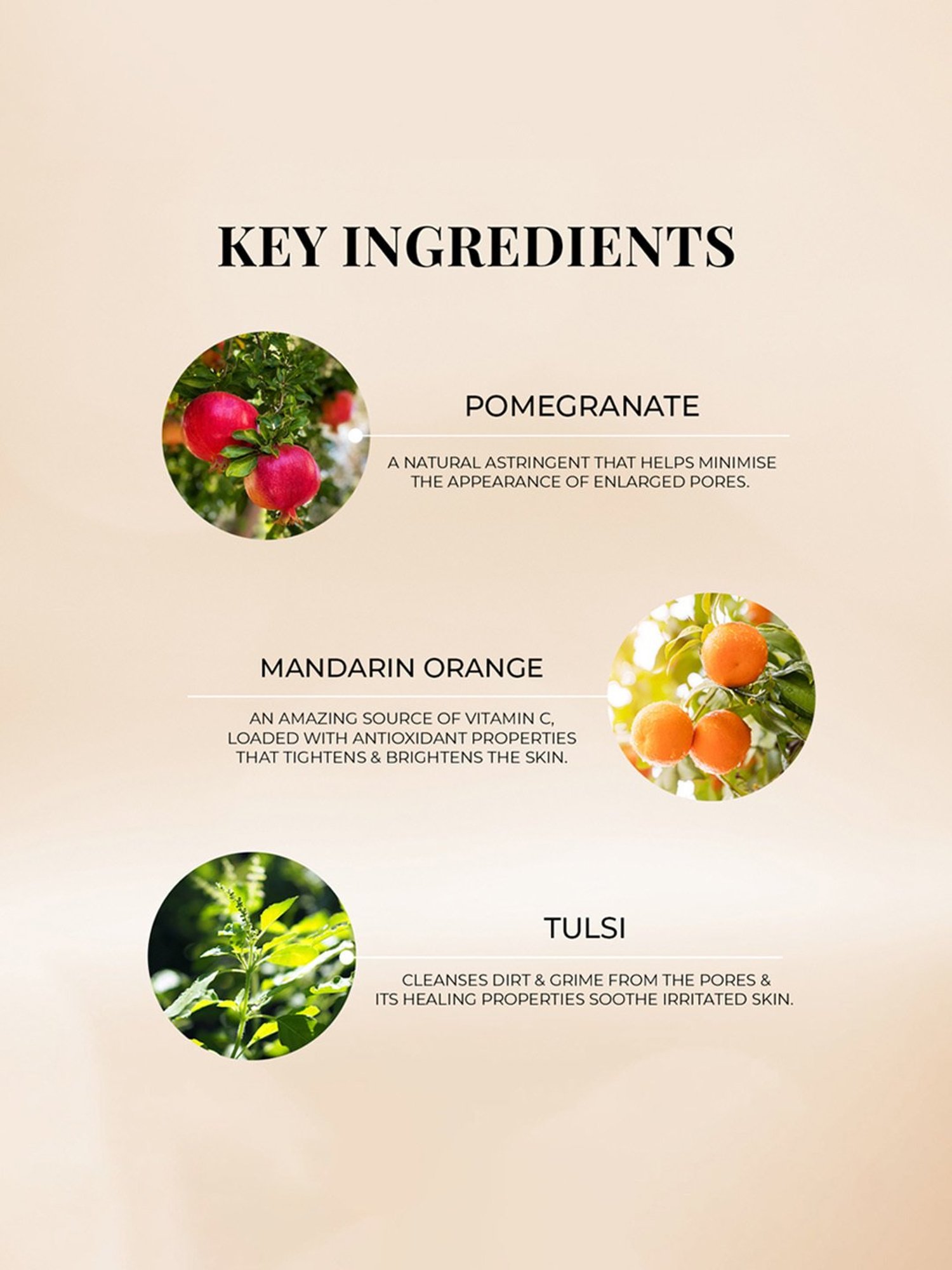 The Hade Tea Tree Facial Toner - 100 ml