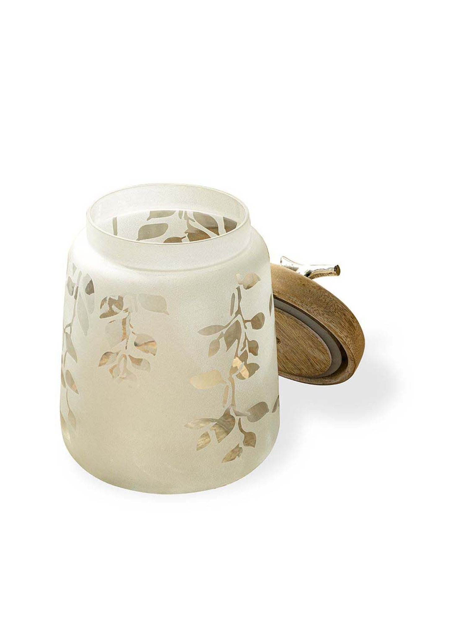 ellementry Twiggy Frosted Transparent Glass Jar with Lid (500 ml) - Set of 1