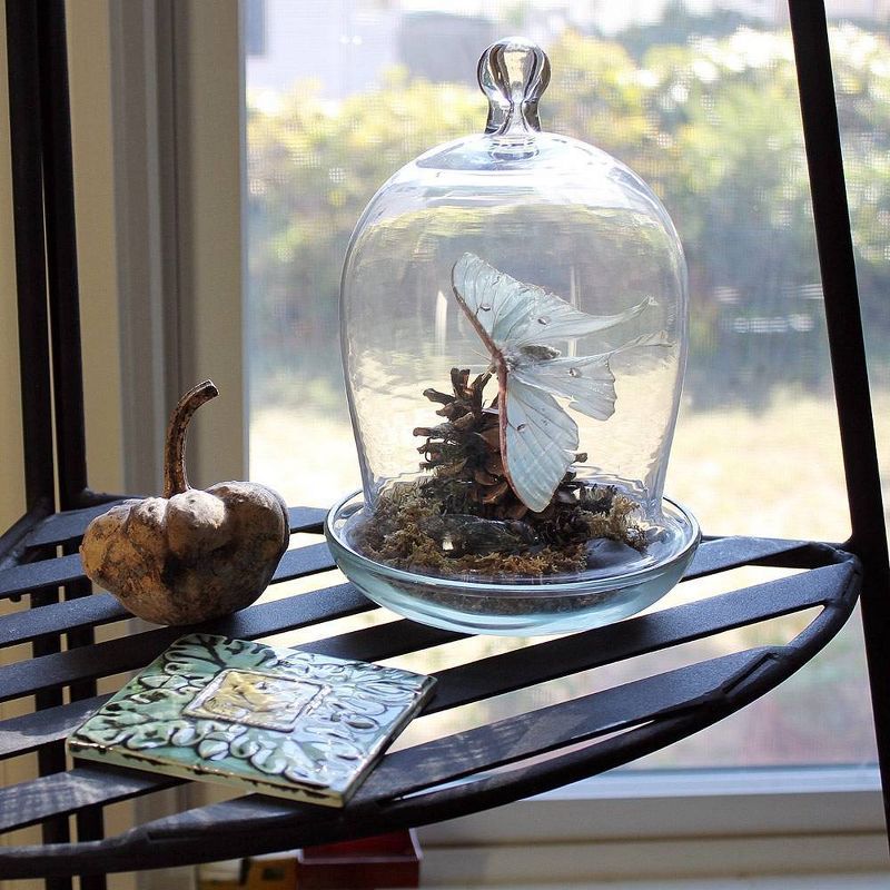 8" Glass Classic Miniature Bell Jar Cloche - ACHLA Designs