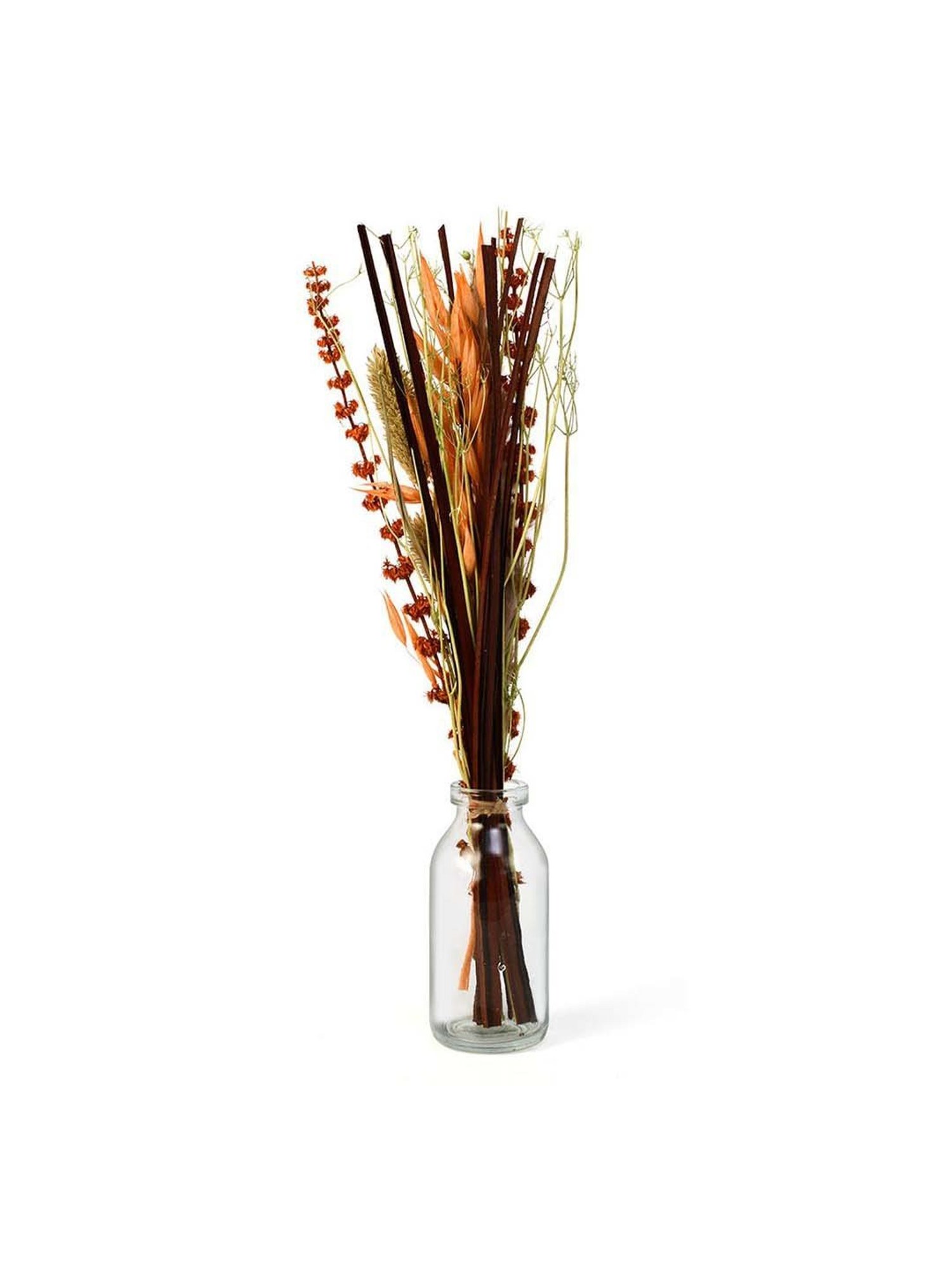 @home by Nilkamal Arias Decorative Glass Vase with Dry Flowers (Transparent & Brown)