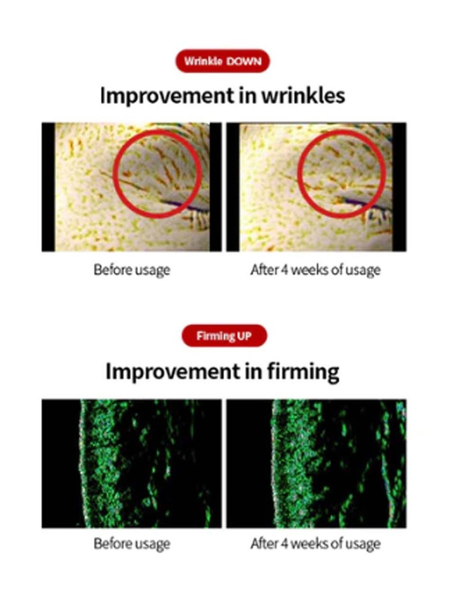 Biotique Wheatgerm Anti-Ageing Night Cream - 50 gm