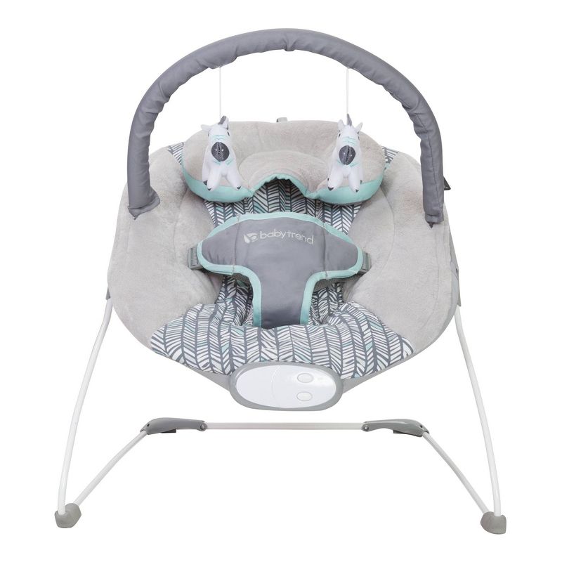 Baby Trend Bouncer - Ziggy