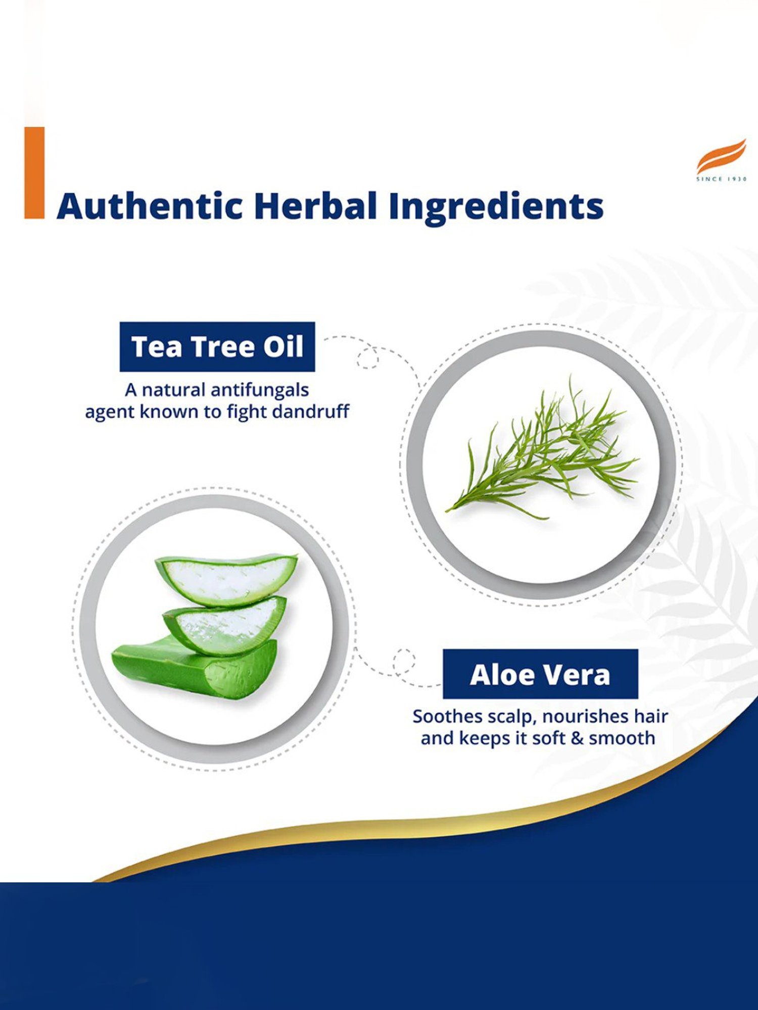 Himalaya Anti-Dandruff Tea Tree Shampoo - 650 ml