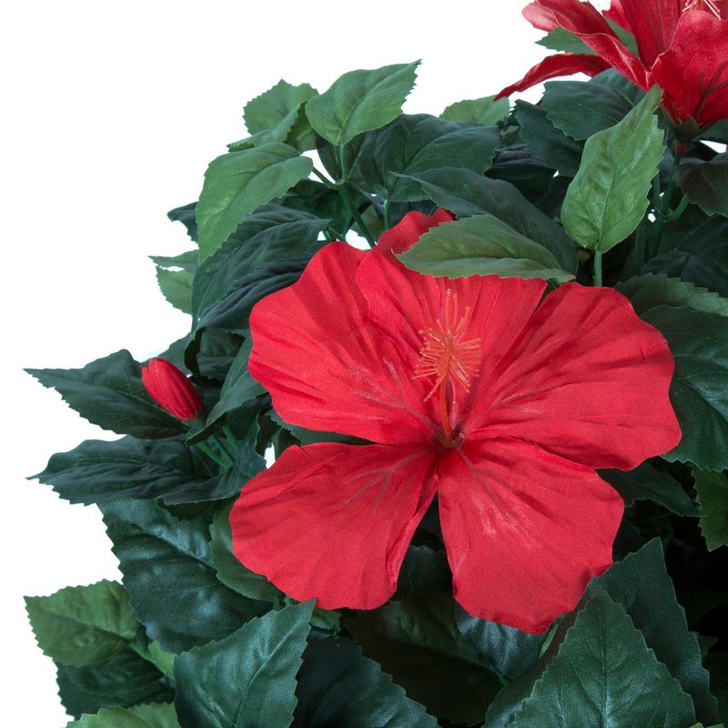 Pure Garden 4ft Hibiscus Tree with Flowers
