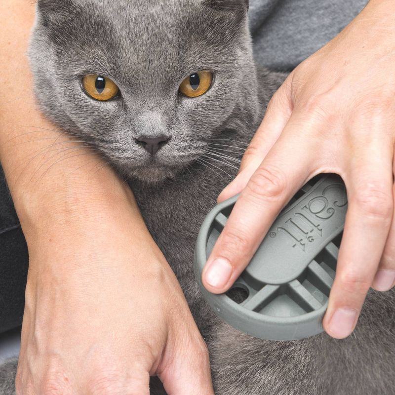Catit Shorthair Cat Grooming Kit