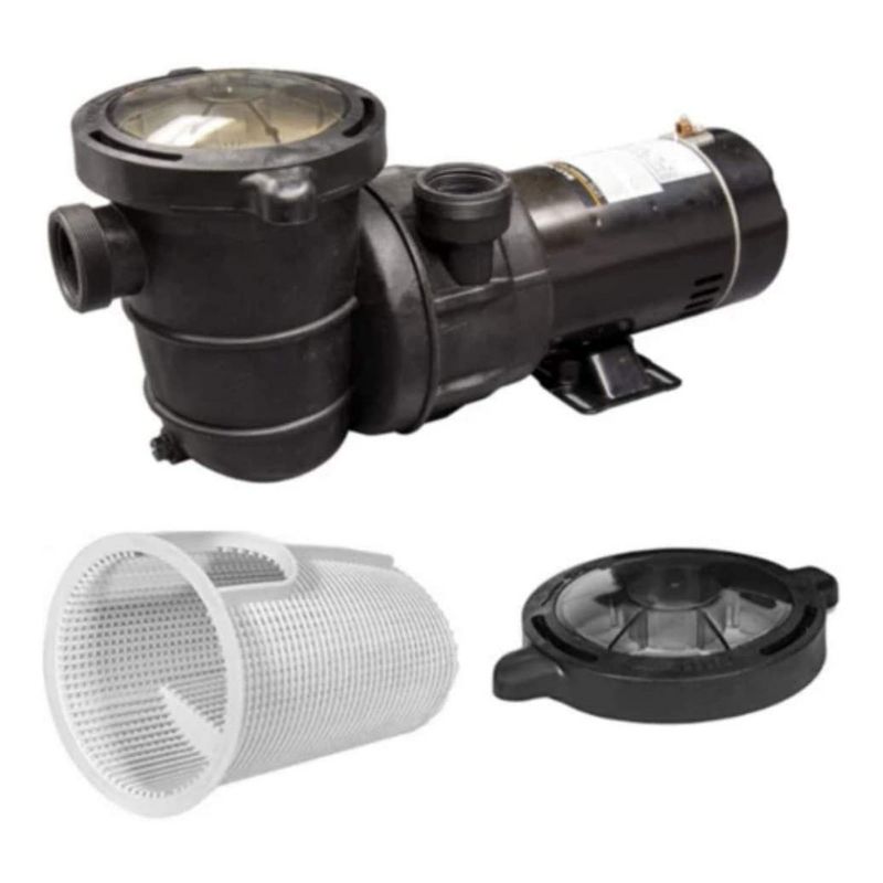 Blue Torrent Maxiforce 1 HP Self Priming Pump with Manual On Off Switch for In Ground Swimming Pools, 83 GPM, 115V or 230V Plug, 2 Inch Threads