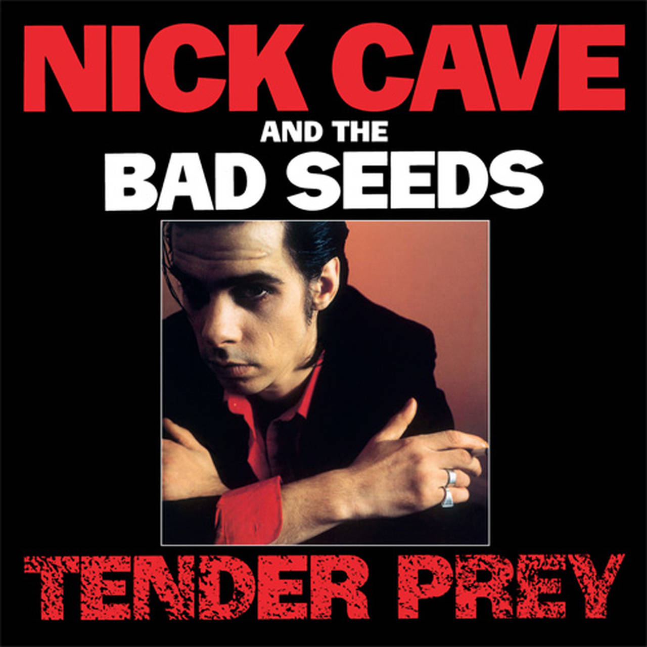 Nick Cave & The Bad Seeds Tender Prey 180g LP (Vinyl)
