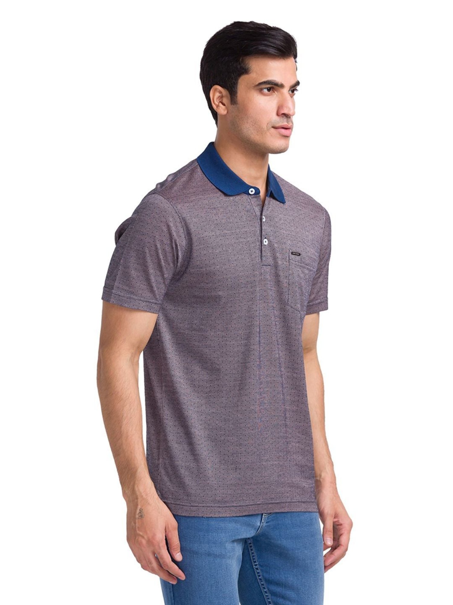 Park Avenue Red & Blue Cotton Slim Fit Self Pattern Polo T-Shirt