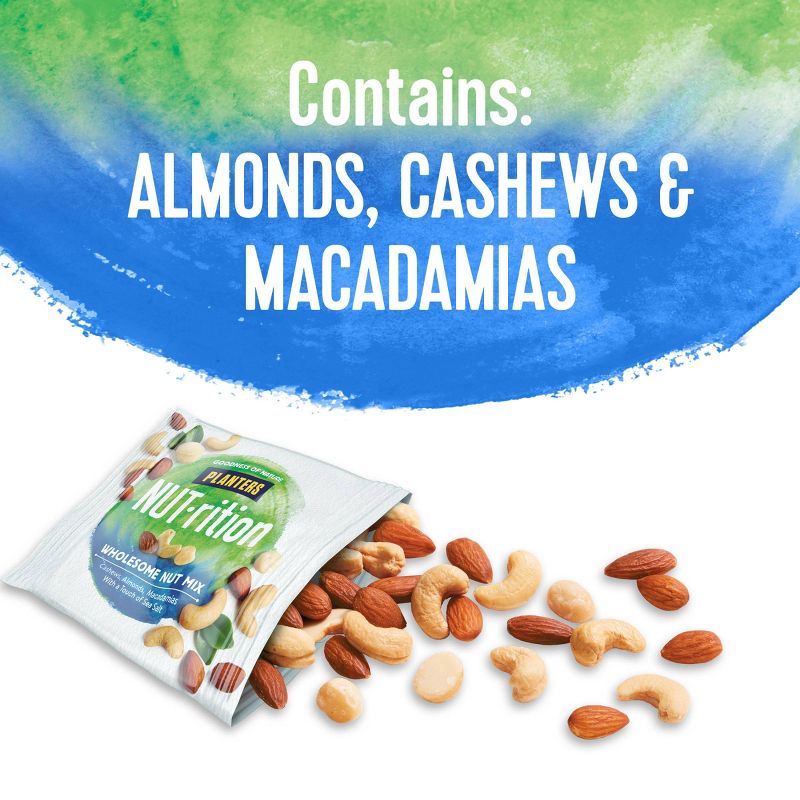 Pecan Halves - 16oz - Good & Gather™