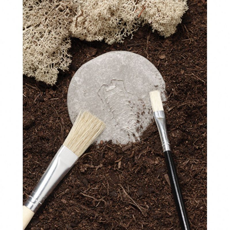 Yellow Door Play & Explore Bugs