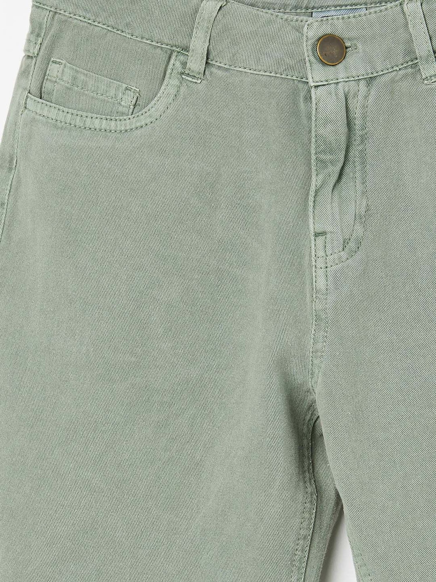 Fame Forever by Lifestyle Kids Sage Green Cotton Regular Fit Shorts