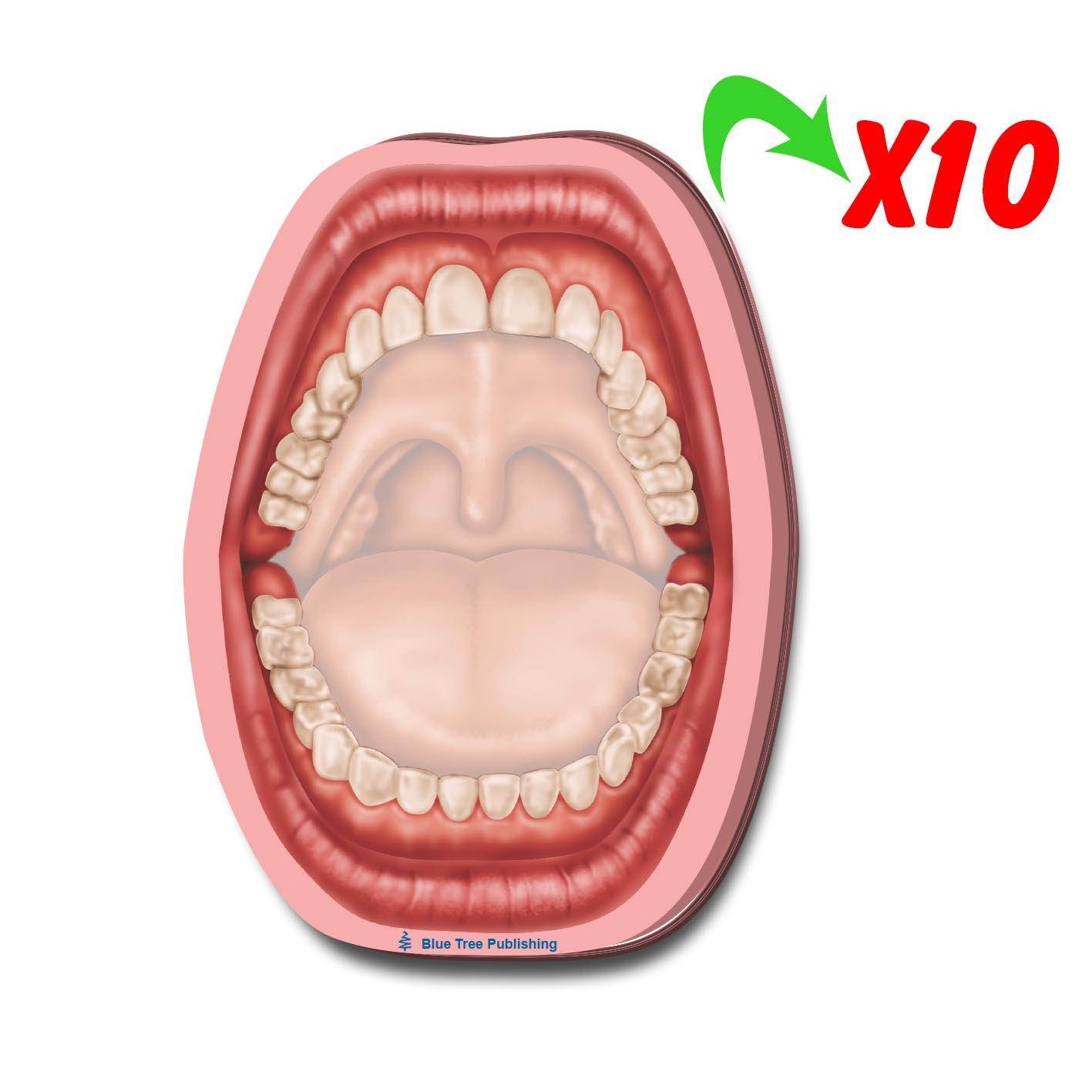 Mouth Sticky Notes, 10 Packs-100 Sheets Per Pack